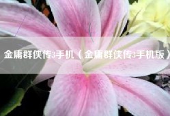 金庸群侠传3手机（金庸群侠传3手机版）