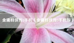 金庸群侠传3手机（金庸群侠传3手机版）