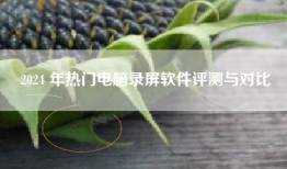 2024 年热门电脑录屏软件评测与对比