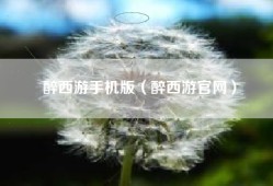 醉西游手机版（醉西游官网）