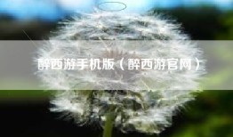 醉西游手机版（醉西游官网）