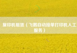 复印机租赁（飞鹅自动接单打印机人工服务）