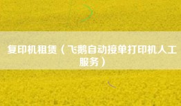 复印机租赁（飞鹅自动接单打印机人工服务）