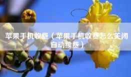 苹果手机收费（苹果手机收费怎么关闭自动续费）