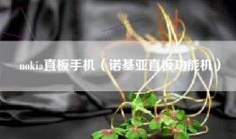 nokia直板手机（诺基亚直板功能机）