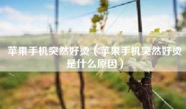 苹果手机突然好烫（苹果手机突然好烫是什么原因）