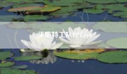 头脑特工队PPT.ppt