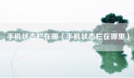 手机状态栏在哪（手机状态栏在哪里）