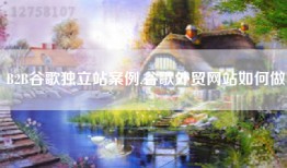 B2B谷歌独立站案例,谷歌外贸网站如何做