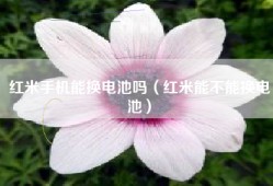 红米手机能换电池吗（红米能不能换电池）