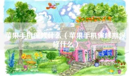 苹果手机保修什么（苹果手机保修期保修什么）