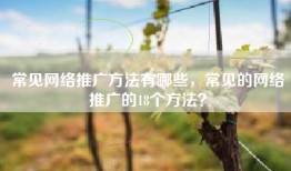 常见网络推广方法有哪些，常见的网络推广的18个方法？