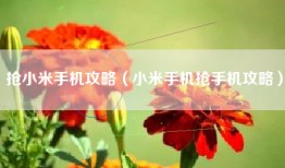 抢小米手机攻略（小米手机抢手机攻略）