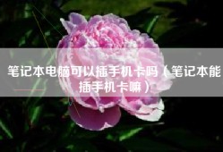 笔记本电脑可以插手机卡吗（笔记本能插手机卡嘛）
