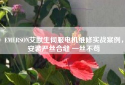 EMERSON艾默生伺服电机维修实战案例，安装严丝合缝 一丝不苟