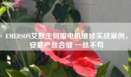 EMERSON艾默生伺服电机维修实战案例，安装严丝合缝 一丝不苟