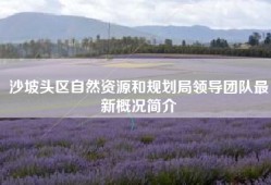 沙坡头区自然资源和规划局领导团队最新概况简介