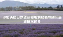 沙坡头区自然资源和规划局领导团队最新概况简介