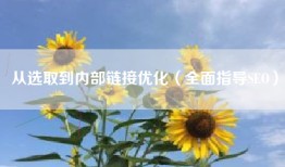从选取到内部链接优化（全面指导SEO）