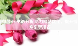 麒麟SEO术语分析,助力网站优化，提升搜索引擎排名
