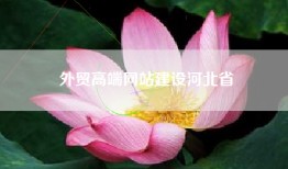 外贸高端网站建设河北省