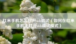 红米手机怎么打开usb调试（如何在红米手机上打开usb调试模式）