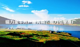 磁力金牛开户服务商？磁力引擎推广