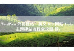 WordPress 外贸建站：英文 B2B 网站 Avada 主题建站流程全攻略(续)