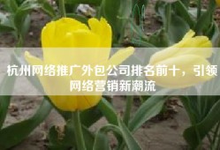 杭州网络推广外包公司排名前十，引领网络营销新潮流