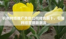 杭州网络推广外包公司排名前十，引领网络营销新潮流