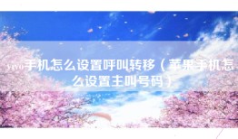 vivo手机怎么设置呼叫转移（苹果手机怎么设置主叫号码）