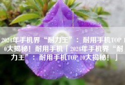 2024年手机界“耐力王”：耐用手机TOP 10大揭秘！耐用手机「2024年手机界“耐力王”：耐用手机TOP 10大揭秘！」