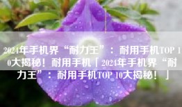 2024年手机界“耐力王”：耐用手机TOP 10大揭秘！耐用手机「2024年手机界“耐力王”：耐用手机TOP 10大揭秘！」