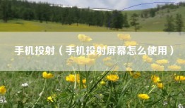 手机投射（手机投射屏幕怎么使用）