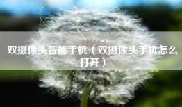 双摄像头智能手机（双摄像头手机怎么打开）