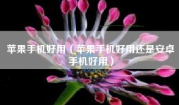 苹果手机好用（苹果手机好用还是安卓手机好用）