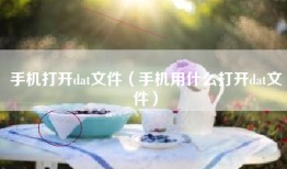手机打开dat文件（手机用什么打开dat文件）