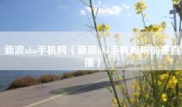 新浪nba手机网（新浪nba手机网附加赛直播）