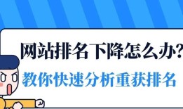 网站优化排名的15个技巧（快速提高网站排名）