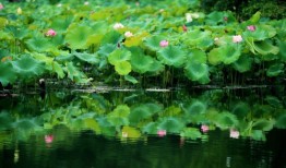 庄浪便民信息【1118期】