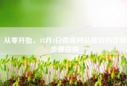 从零开始，12月4日商城网站建设的详细步骤指南