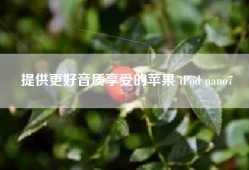 提供更好音质享受的苹果 iPod nano7