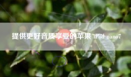 提供更好音质享受的苹果 iPod nano7