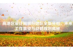 高港区审计局领导团队全新亮相，未来工作展望与战略规划揭秘