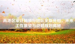 高港区审计局领导团队全新亮相，未来工作展望与战略规划揭秘