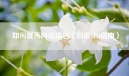 如何提高网站排名（百度SEO指南）