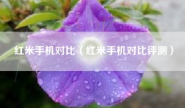 红米手机对比（红米手机对比评测）