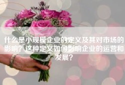 什么是小规模企业的定义及其对市场的影响？这种定义如何影响企业的运营和发展？