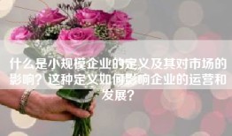 什么是小规模企业的定义及其对市场的影响？这种定义如何影响企业的运营和发展？