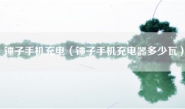 锤子手机充电（锤子手机充电器多少瓦）